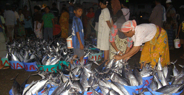 tanjung-luar-fish-market