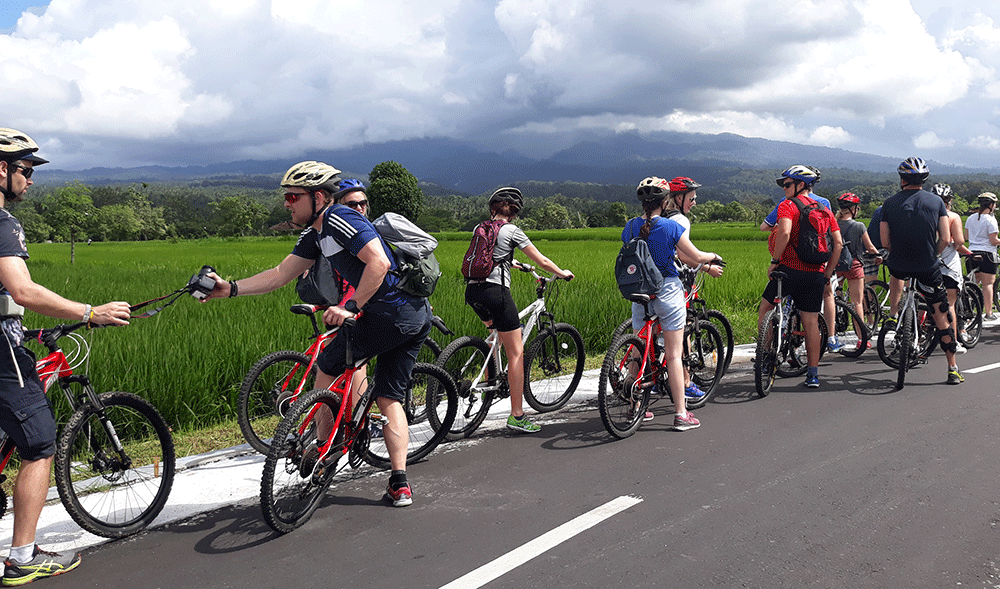Lombok biking tour alongside rice field