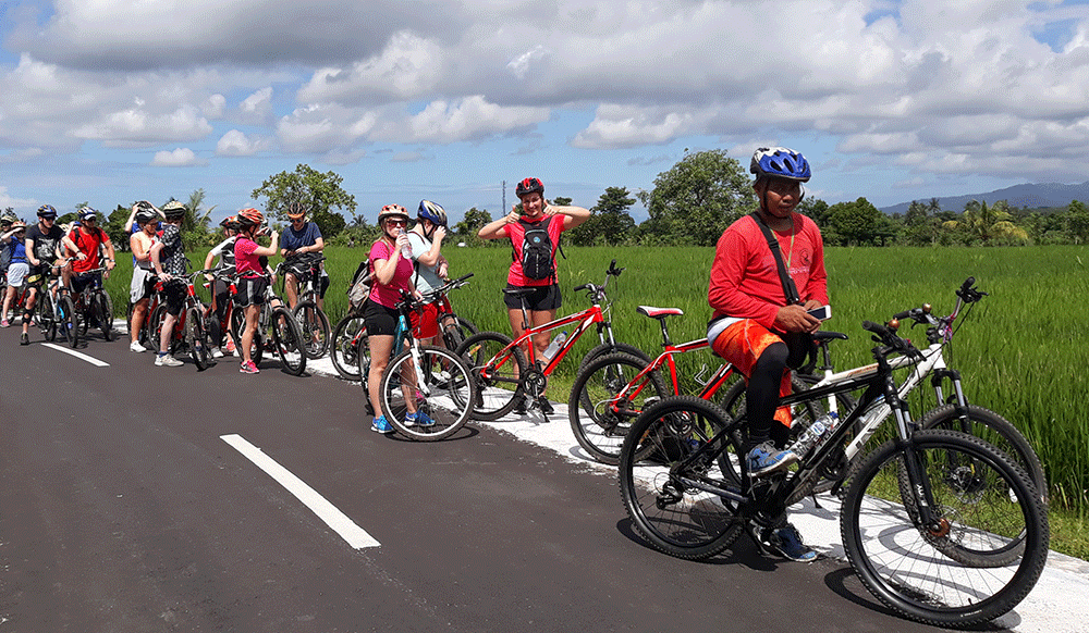 Riding bike alongside stunning rice field