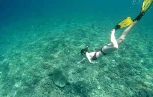 3 Gili Island tour