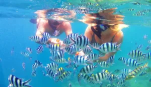 3 Gili Island tour