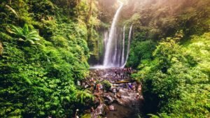 Best Lombok Nature Tour