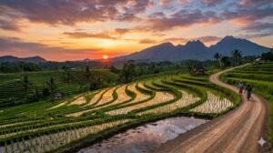 Local Lombok Tour