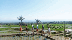 Local Lombok Tour
