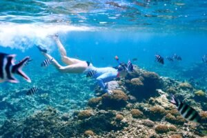 Lombok custom tour one day
