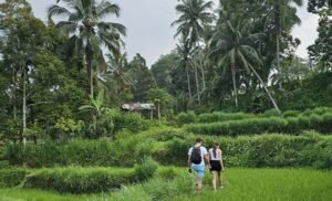 Lombok custom tour one day