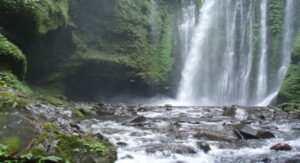 Lombok private day tour