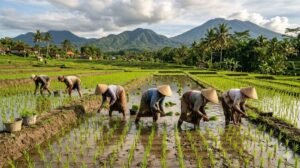 best Lombok holiday tour