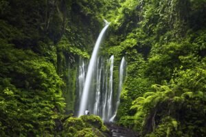 best Lombok nature tour