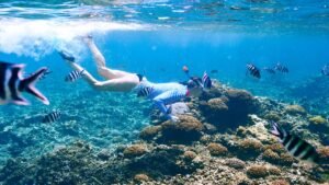 gili snorkeling day trip