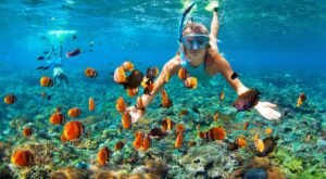 gili snorkeling day trip