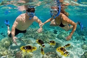 gili snorkeling tour booking