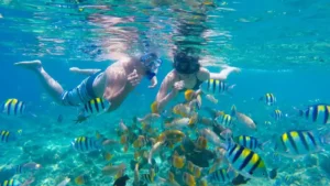 gili snorkeling tour booking
