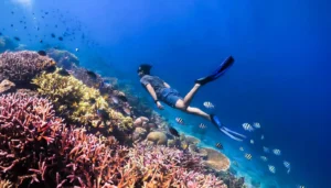 Gili Air snorkeling day trip
