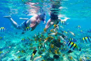 Gili Air snorkeling day trip