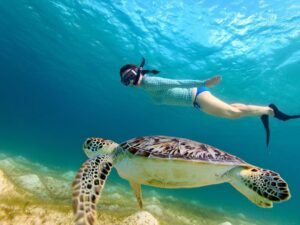 Gili Bidara snorkeling booking