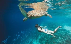 Gili Kondo Snorkeling Booking