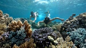 Gili Layar snorkeling booking
