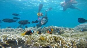 Gili Layar snorkeling booking