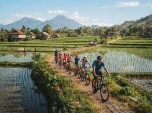 Lombok bike tour booking