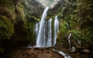 Tetebatu Tour Booking