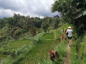 Tetebatu Tour One Day