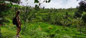 Tetebatu private tour
