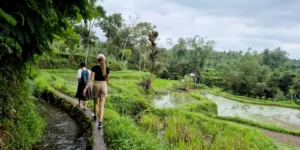 Tetebatu private tour