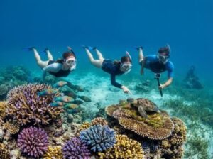 Travelers snorkeling responsibly around Gili Nanggu