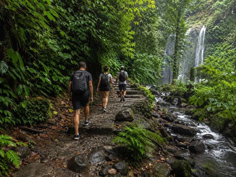 jalur trekking air terjun senaru lombok hutan tropis