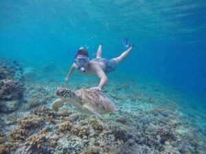Responsible snorkeling