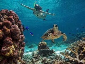 snorkeling Lombok