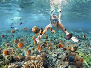 snorkeling gili island