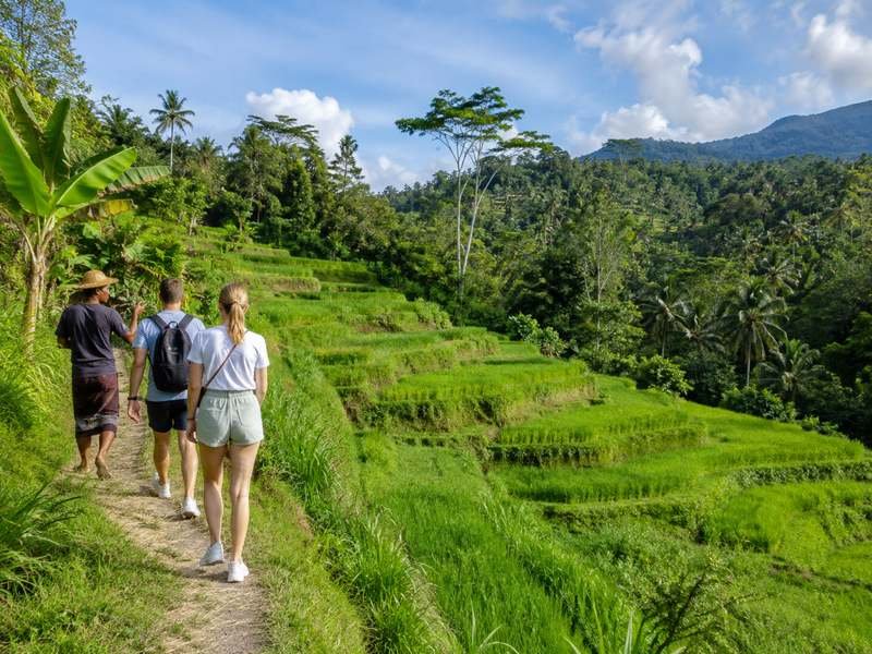 tetebatu rice terraces lombok wisatawan pemandu lokal