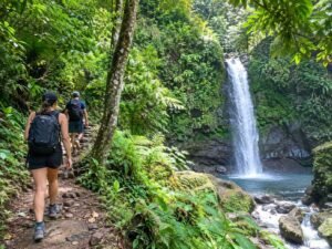Forest trekking trail near a waterfall in North Lombok