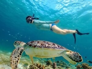 Gili turtle snorkeling tour booking