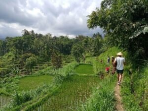 Good Tetebatu walking tour booking