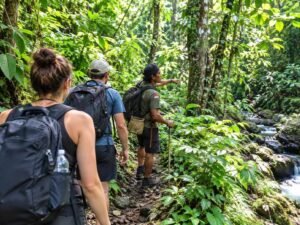 Responsible jungle adventure with a local guide in Lombok