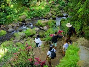 Tetebatu outdoor