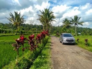Tetebatu walking tour with private driver