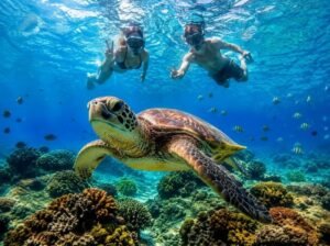 best Gili turtle snorkeling tour booking