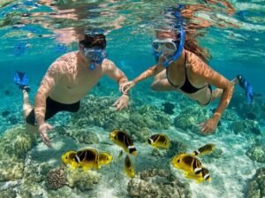 how Lombok gili snorkeling tour booking