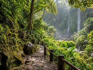 natural trail near Sendang Gile waterfall in North Lombok