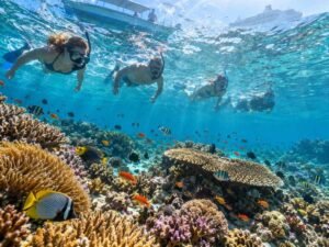 Cruise passengers snorkeling in clear waters around Lombok