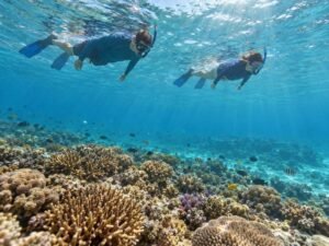 Snorkelers exploring near Gili Petelu without touching the coral