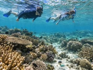 Travelers snorkeling above a reef near Gili Petelu