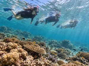 Visitors snorkeling above a reef near the Gili Islands